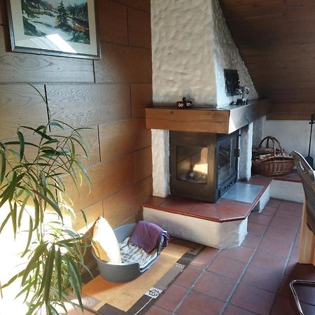 Aussergewoehnliche Atelierferienwohnung Mit Balkon An Der Donau Winzer Exteriör bild