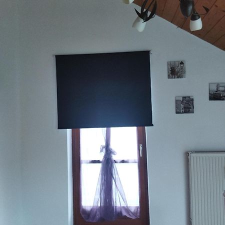 Aussergewoehnliche Atelierferienwohnung Mit Balkon An Der Donau Winzer Exteriör bild
