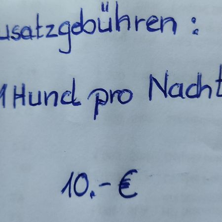 Aussergewoehnliche Atelierferienwohnung Mit Balkon An Der Donau Winzer Exteriör bild