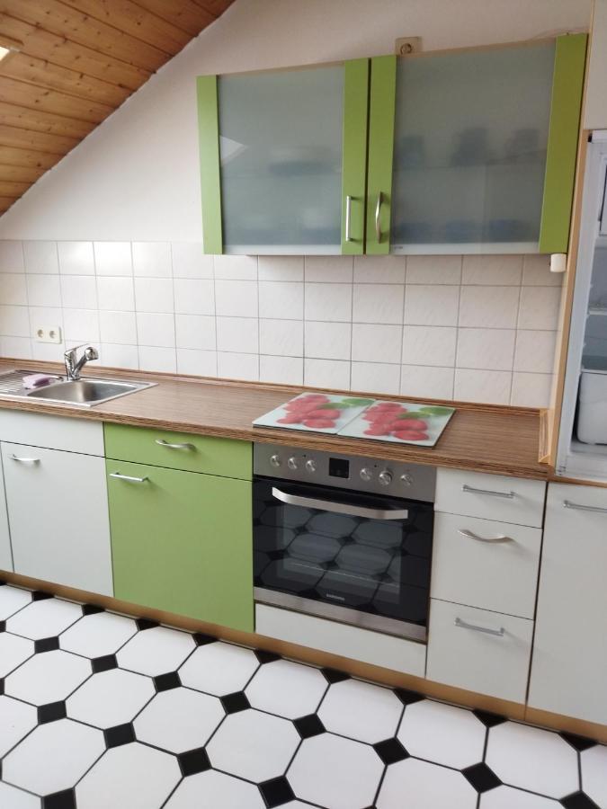 Aussergewoehnliche Atelierferienwohnung Mit Balkon An Der Donau Winzer Exteriör bild