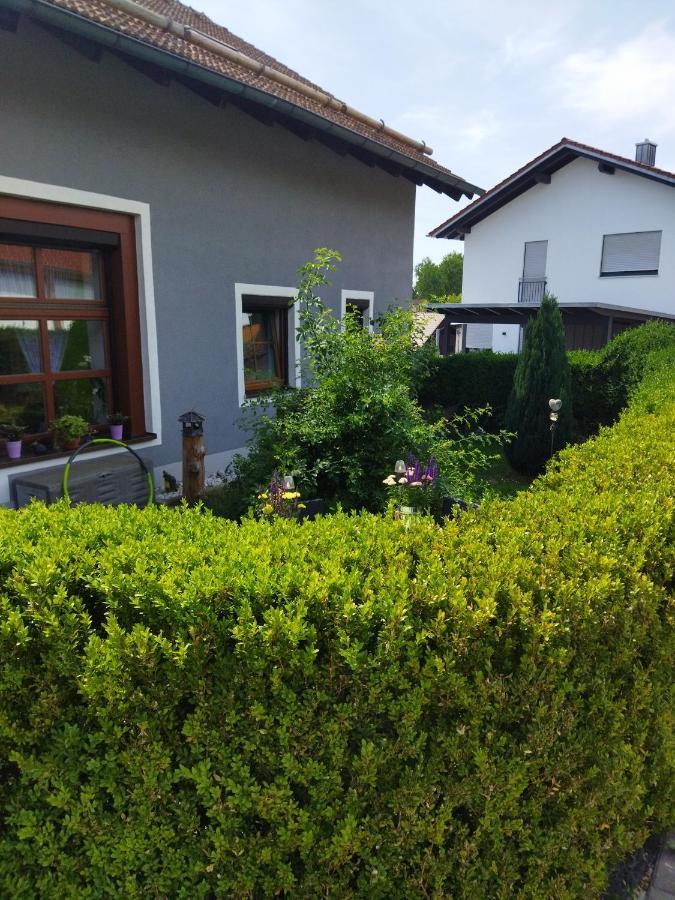 Aussergewoehnliche Atelierferienwohnung Mit Balkon An Der Donau Winzer Exteriör bild