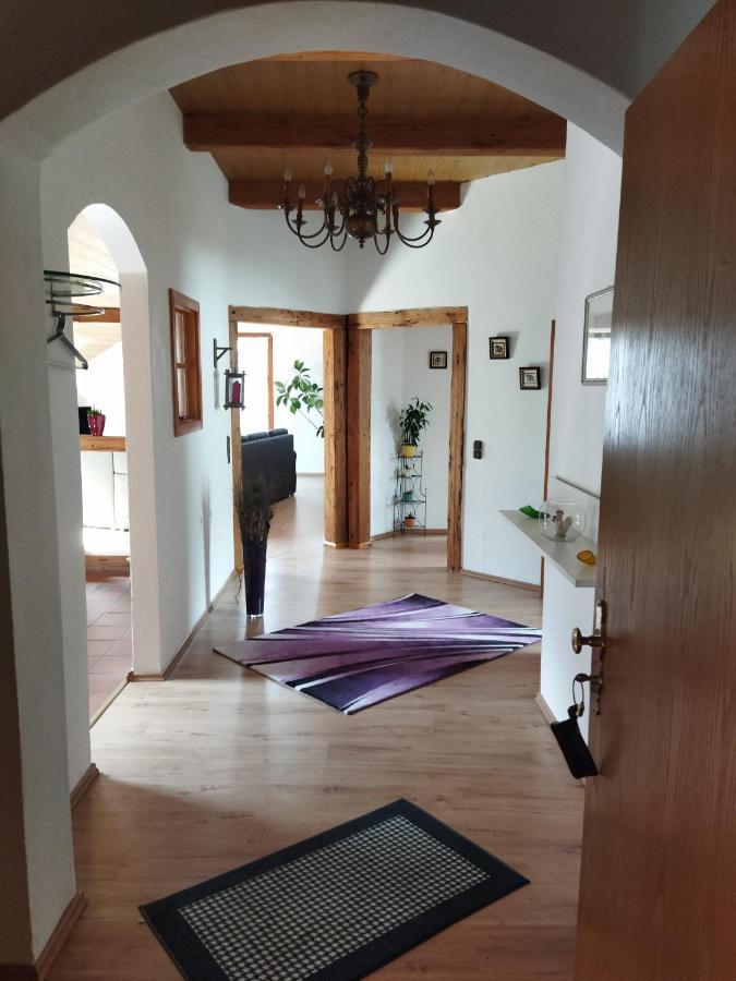Aussergewoehnliche Atelierferienwohnung Mit Balkon An Der Donau Winzer Exteriör bild
