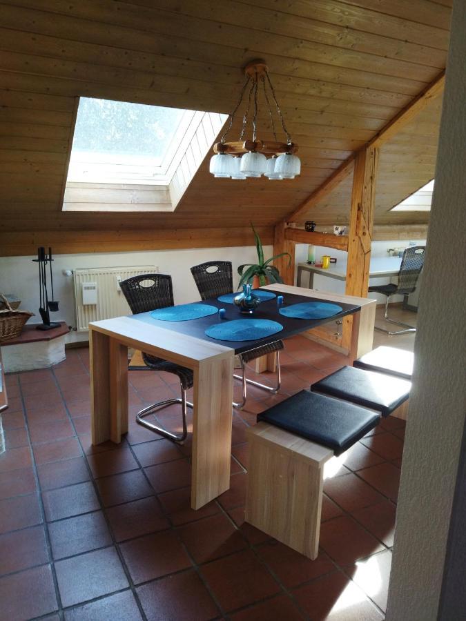 Aussergewoehnliche Atelierferienwohnung Mit Balkon An Der Donau Winzer Exteriör bild
