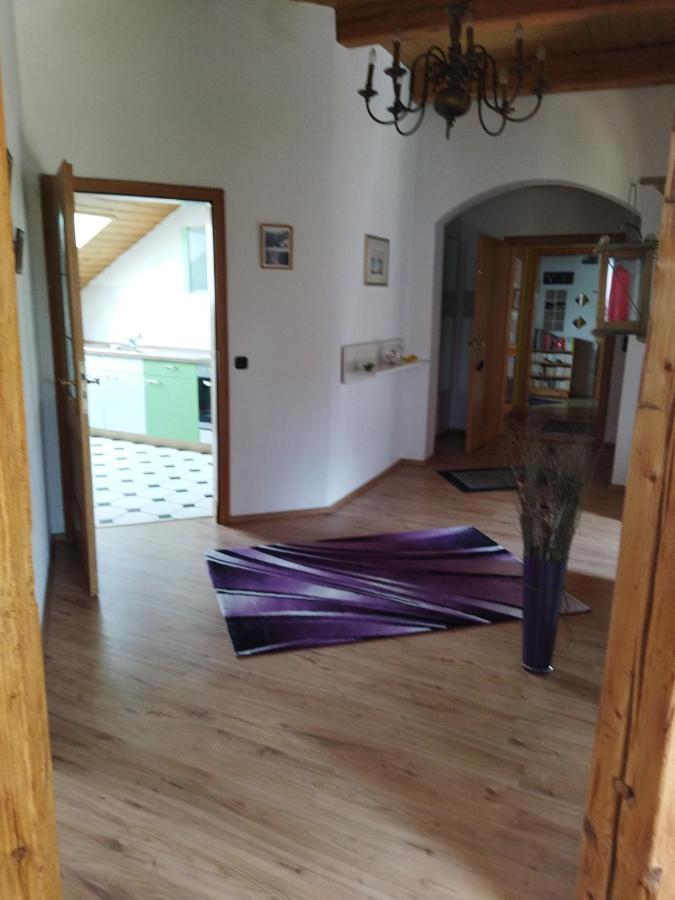 Aussergewoehnliche Atelierferienwohnung Mit Balkon An Der Donau Winzer Exteriör bild
