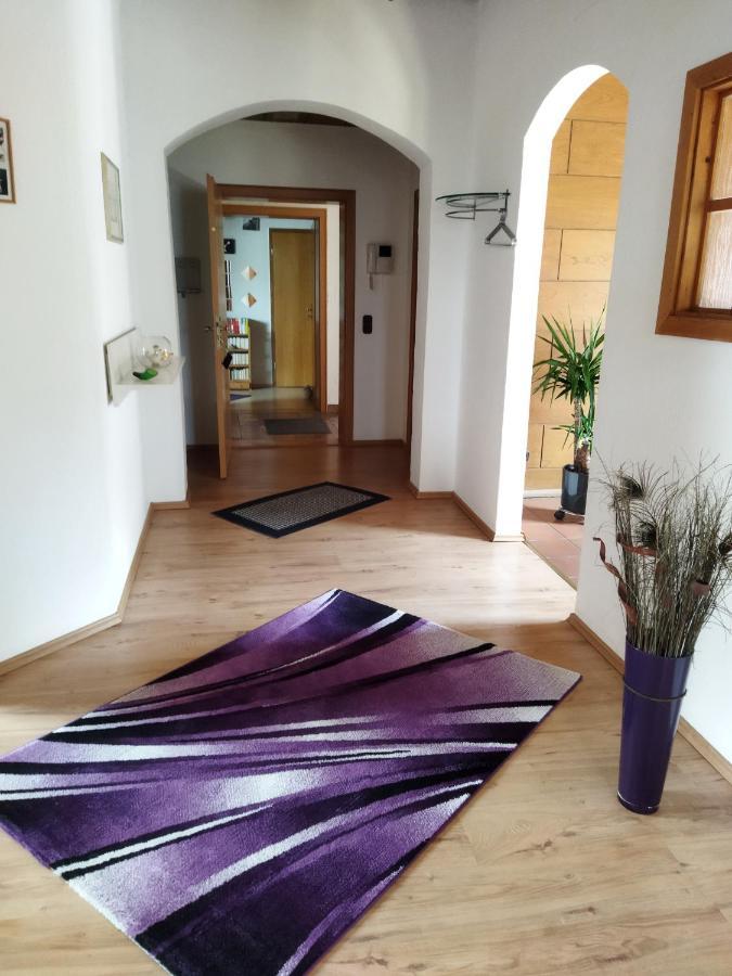 Aussergewoehnliche Atelierferienwohnung Mit Balkon An Der Donau Winzer Exteriör bild