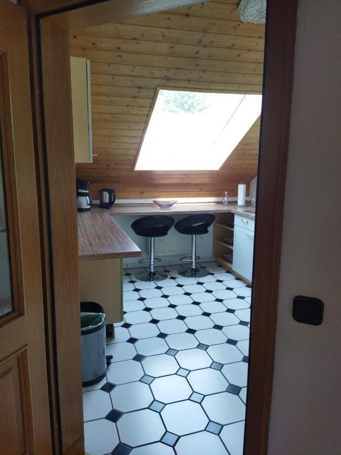 Aussergewoehnliche Atelierferienwohnung Mit Balkon An Der Donau Winzer Exteriör bild