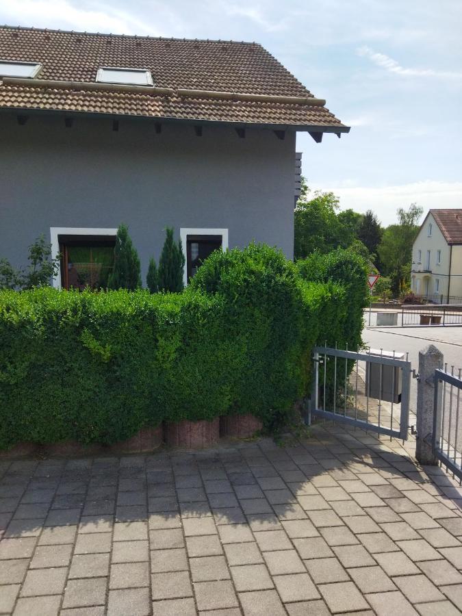 Aussergewoehnliche Atelierferienwohnung Mit Balkon An Der Donau Winzer Exteriör bild