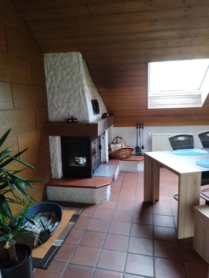 Aussergewoehnliche Atelierferienwohnung Mit Balkon An Der Donau Winzer Exteriör bild