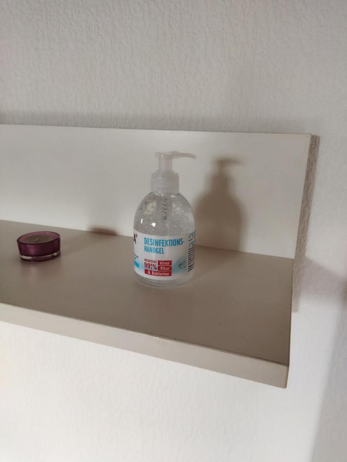 Aussergewoehnliche Atelierferienwohnung Mit Balkon An Der Donau Winzer Exteriör bild