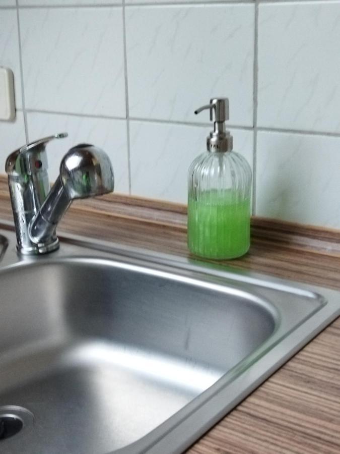 Aussergewoehnliche Atelierferienwohnung Mit Balkon An Der Donau Winzer Exteriör bild
