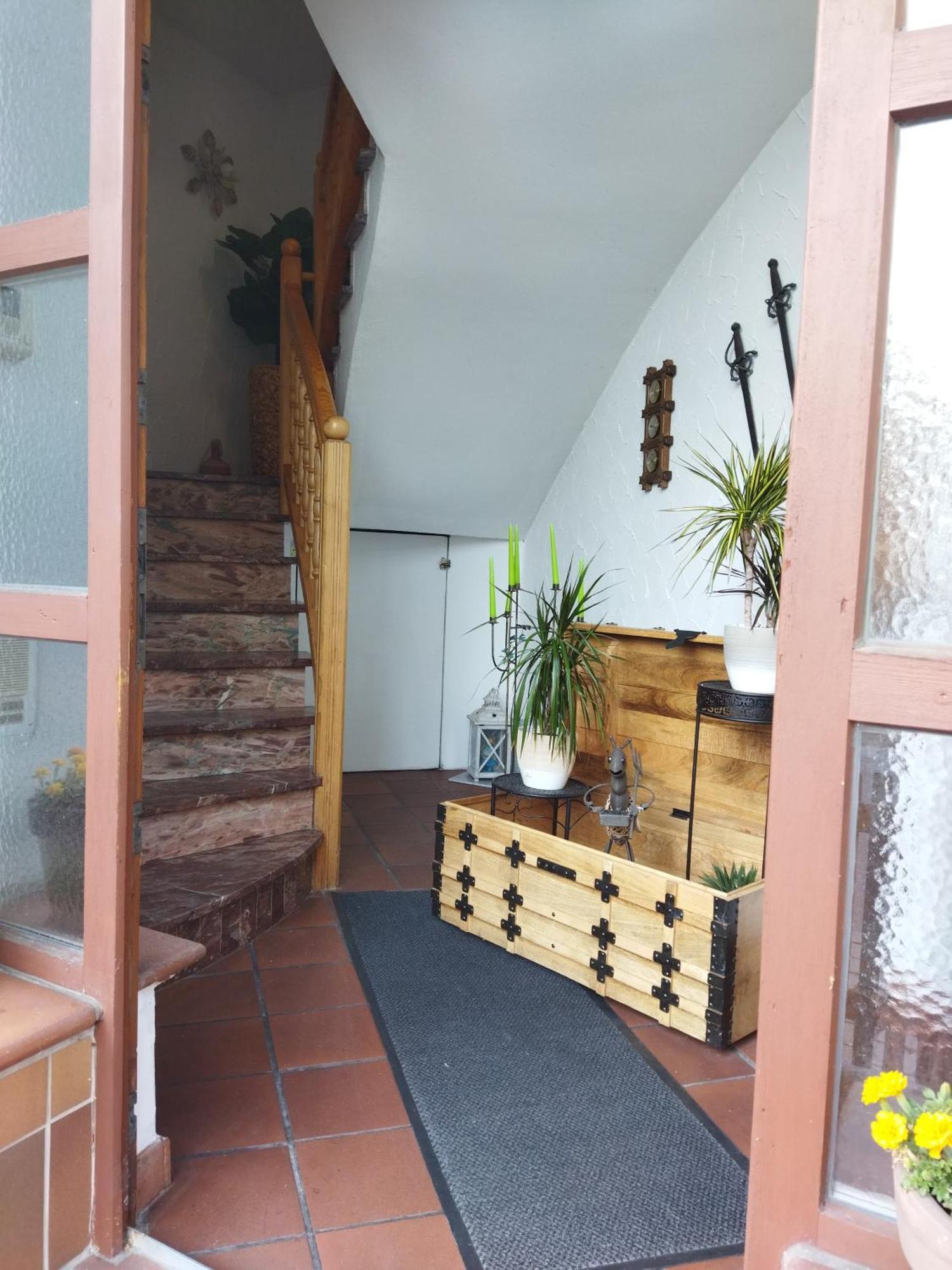 Aussergewoehnliche Atelierferienwohnung Mit Balkon An Der Donau Winzer Exteriör bild